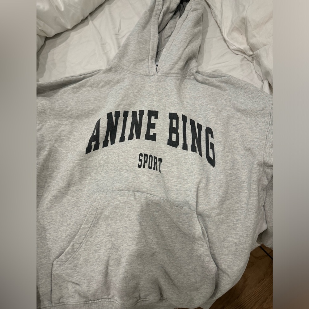 Anine Bing hoodie 
size small 
perfect condition
worn a few times
